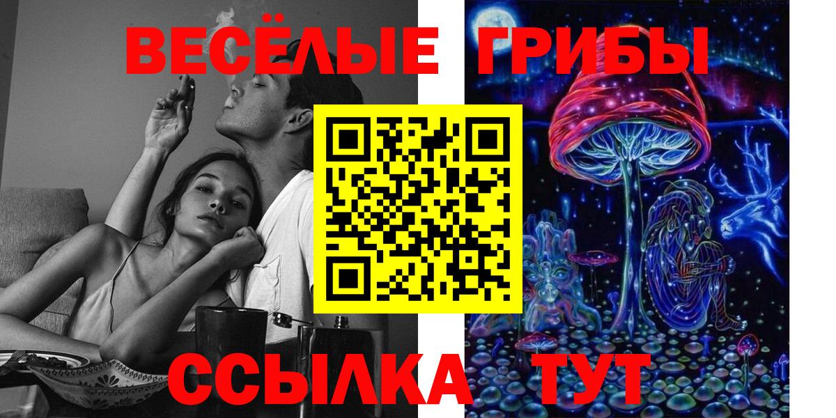Галлюциногенные грибы мицелий Усть-Джегута