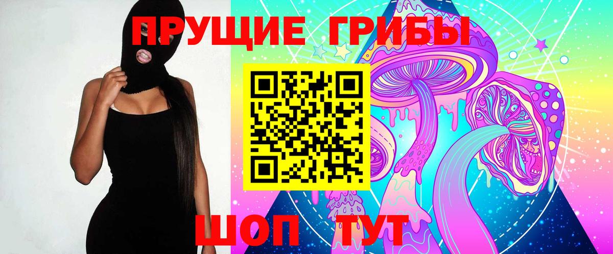 что такое   Вход с VPN  Усть-Джегута  Псилоцибиновые грибы прущие грибы 